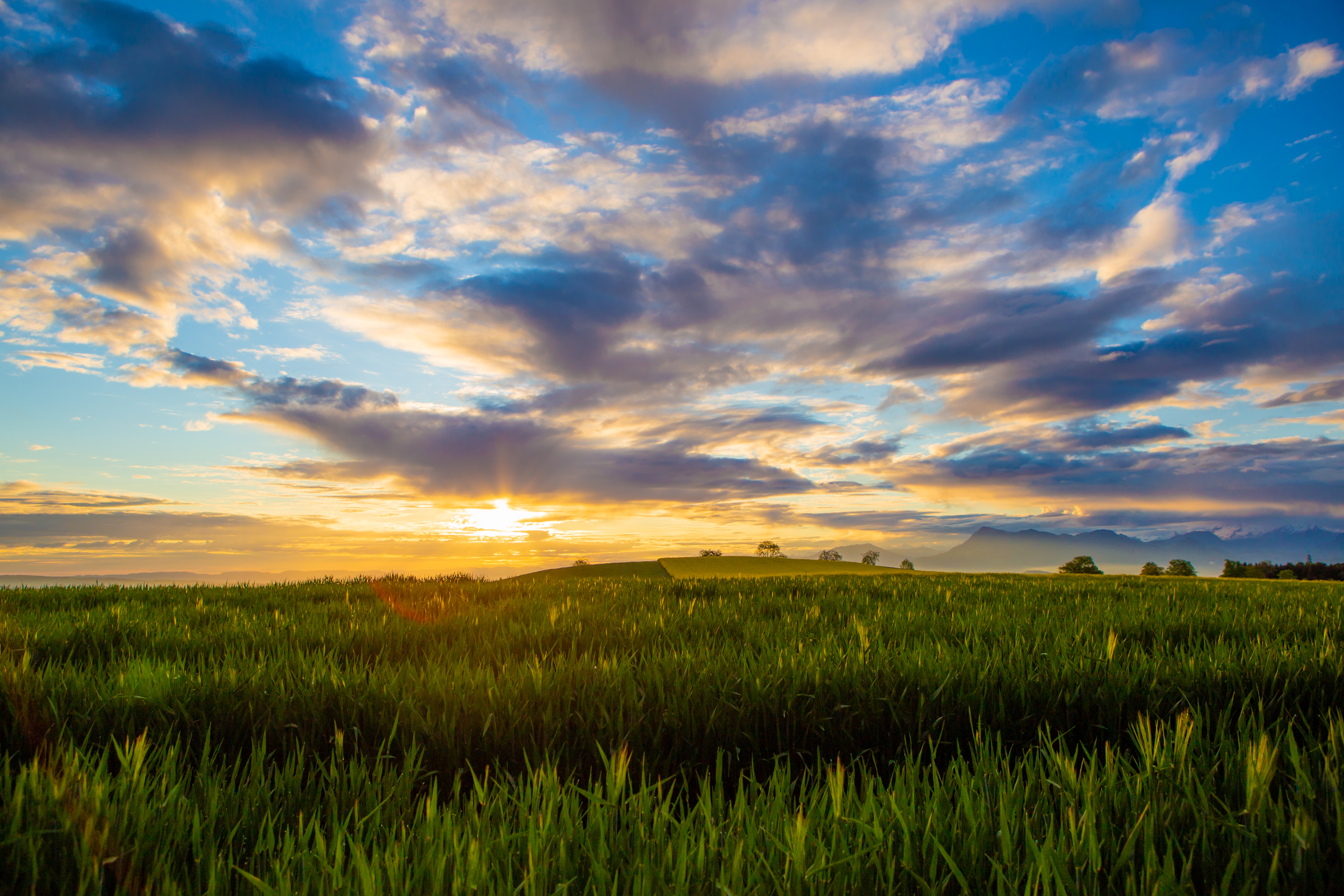 Der Tag erwacht auf dem Ruswilerberg. | René Burch, Ruswil
