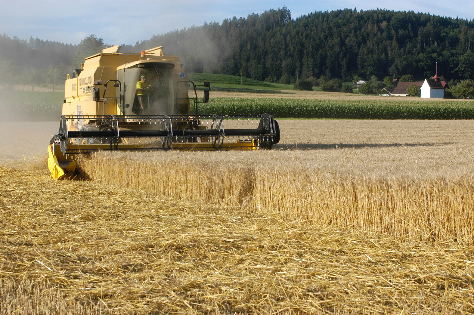 Dank der harten Arbeit können wir gutes und gesundes Brot essen. | Toni Koller, Grosswangen