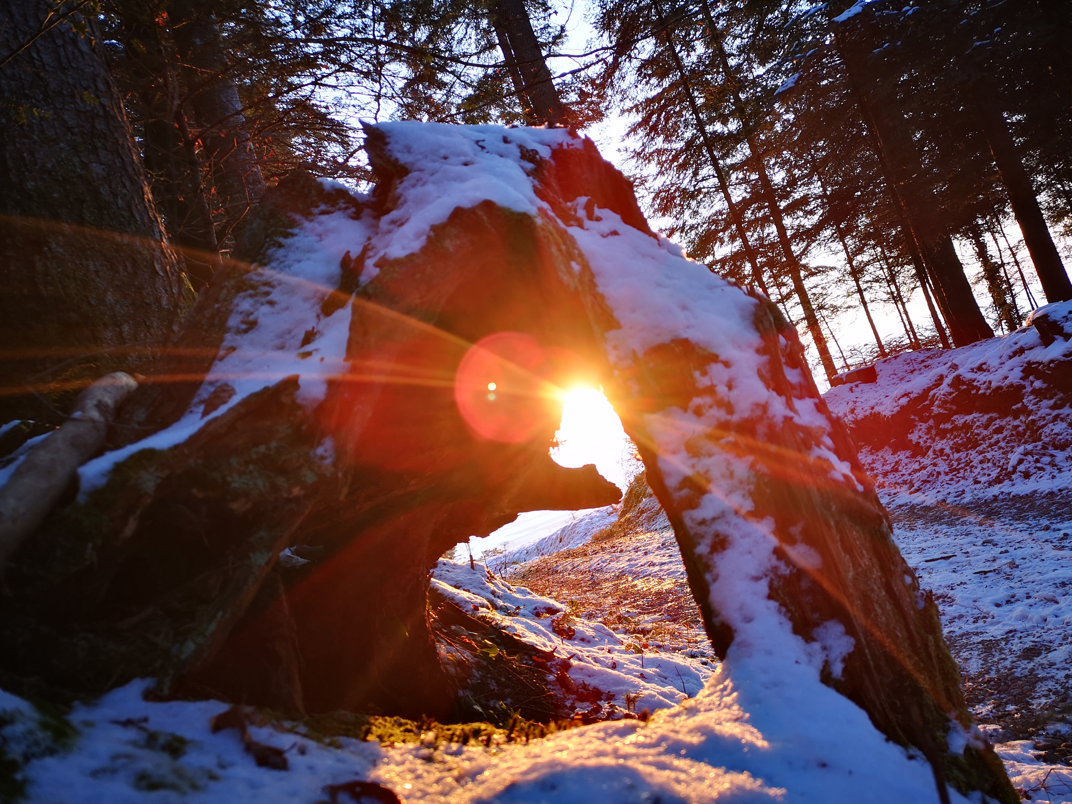 Durchblick - am Rüediswiler Waldrand. | Martin Kohler, Ruswil
