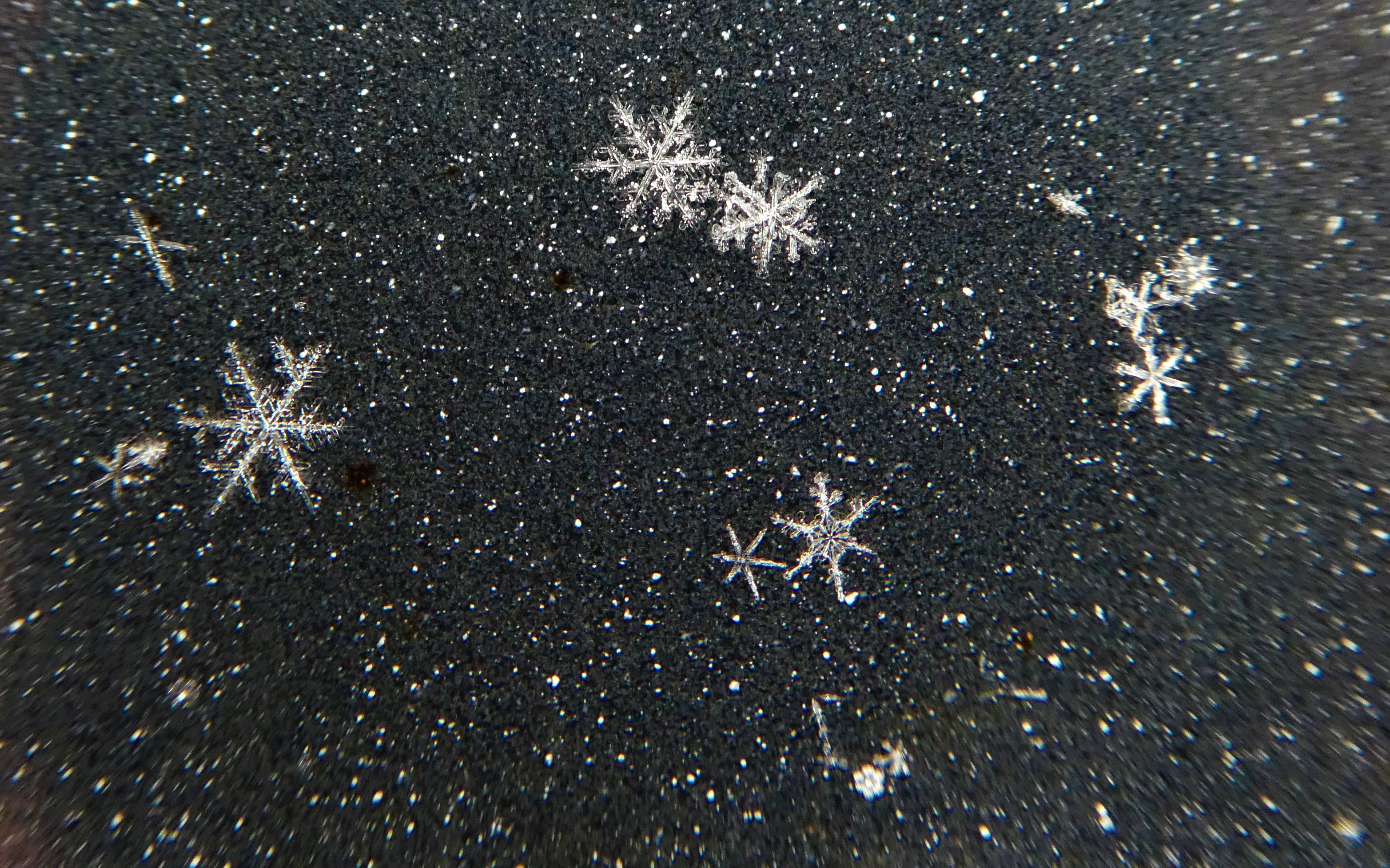 Schneesterne fallen vom Himmel am Sonntag, 14. Februar 2021. | Josy Steinmann, Ruswil