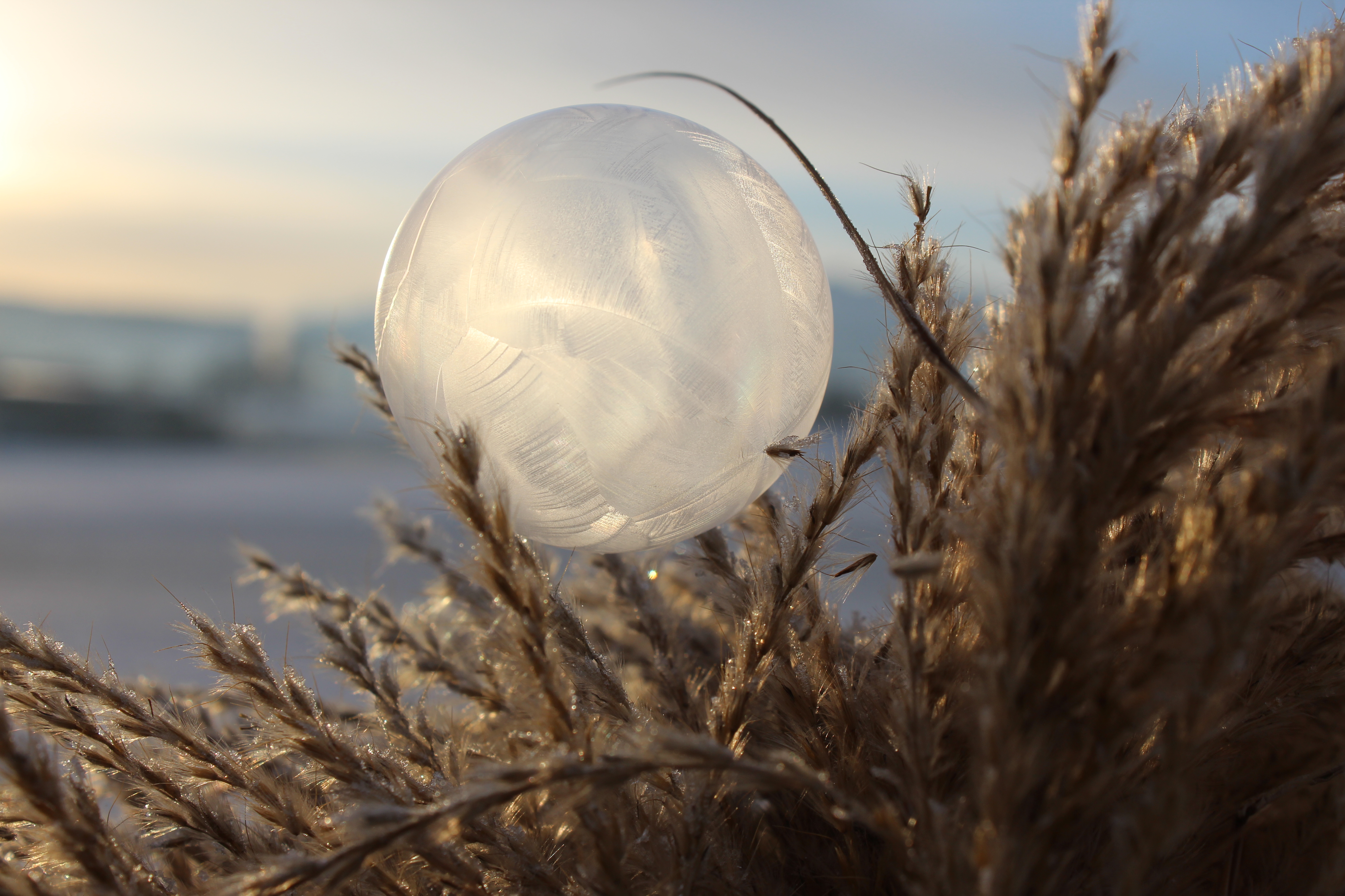 Gefrorene Seifenblase in Grosswangen, aufgenommen am 15. Februar 2021 | Benedikta Rosenberg-Rogger