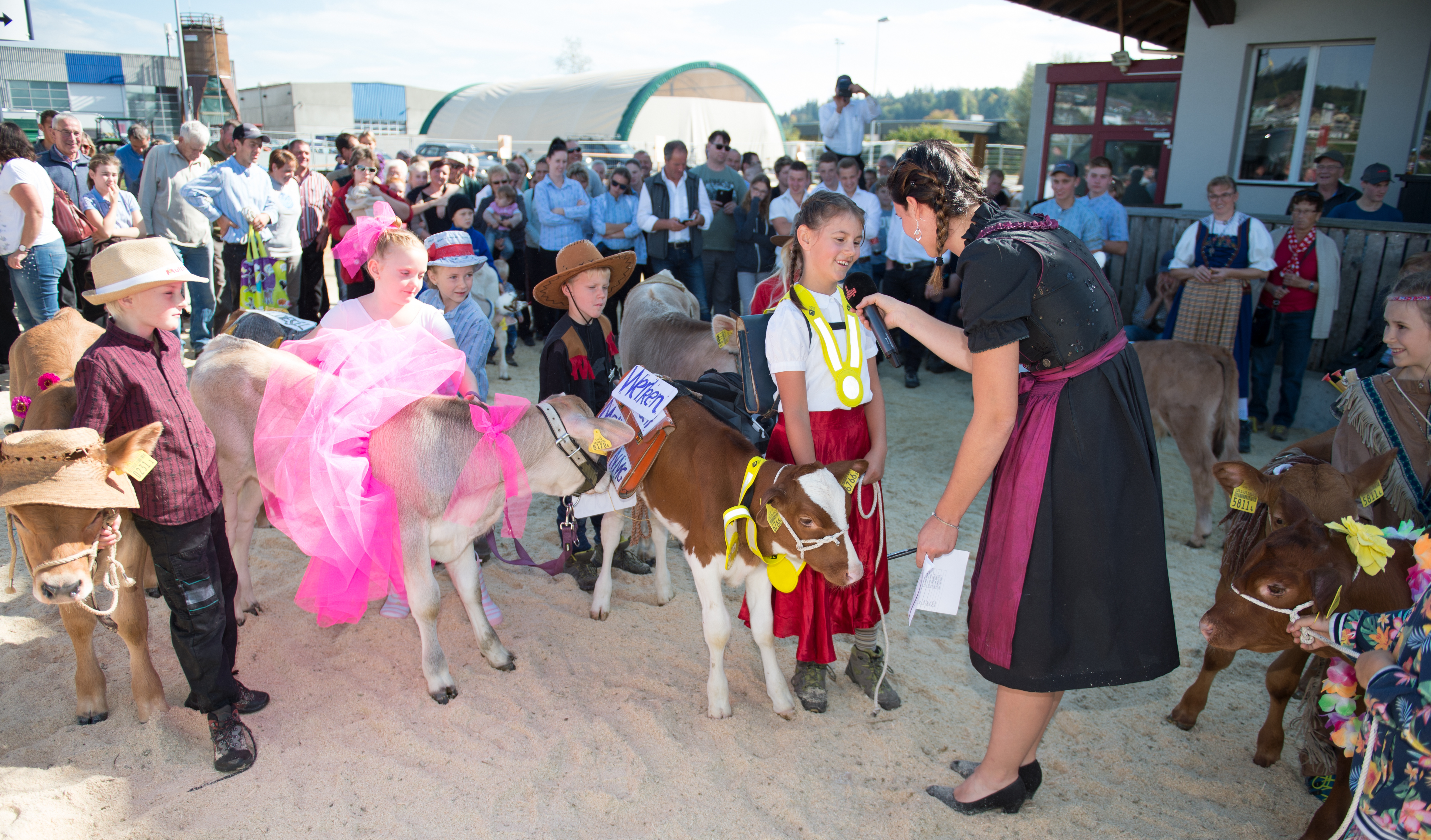 Publikumsmagnet an der Ausstellung war der Kälberwettbewerb am Samstagmittag. Moderiert von Andrea Furrer aus Hasle gaben die jungen Tierfreunde alles, um in die engere Auswahl für einen Pokal zu kommen. Andrea Furrer betonte, dass alle Siegerinnen seien und wünschte ihnen auch in Zukunft viel Freude und Spass mit den Tieren. Foto Erwin Ottiger