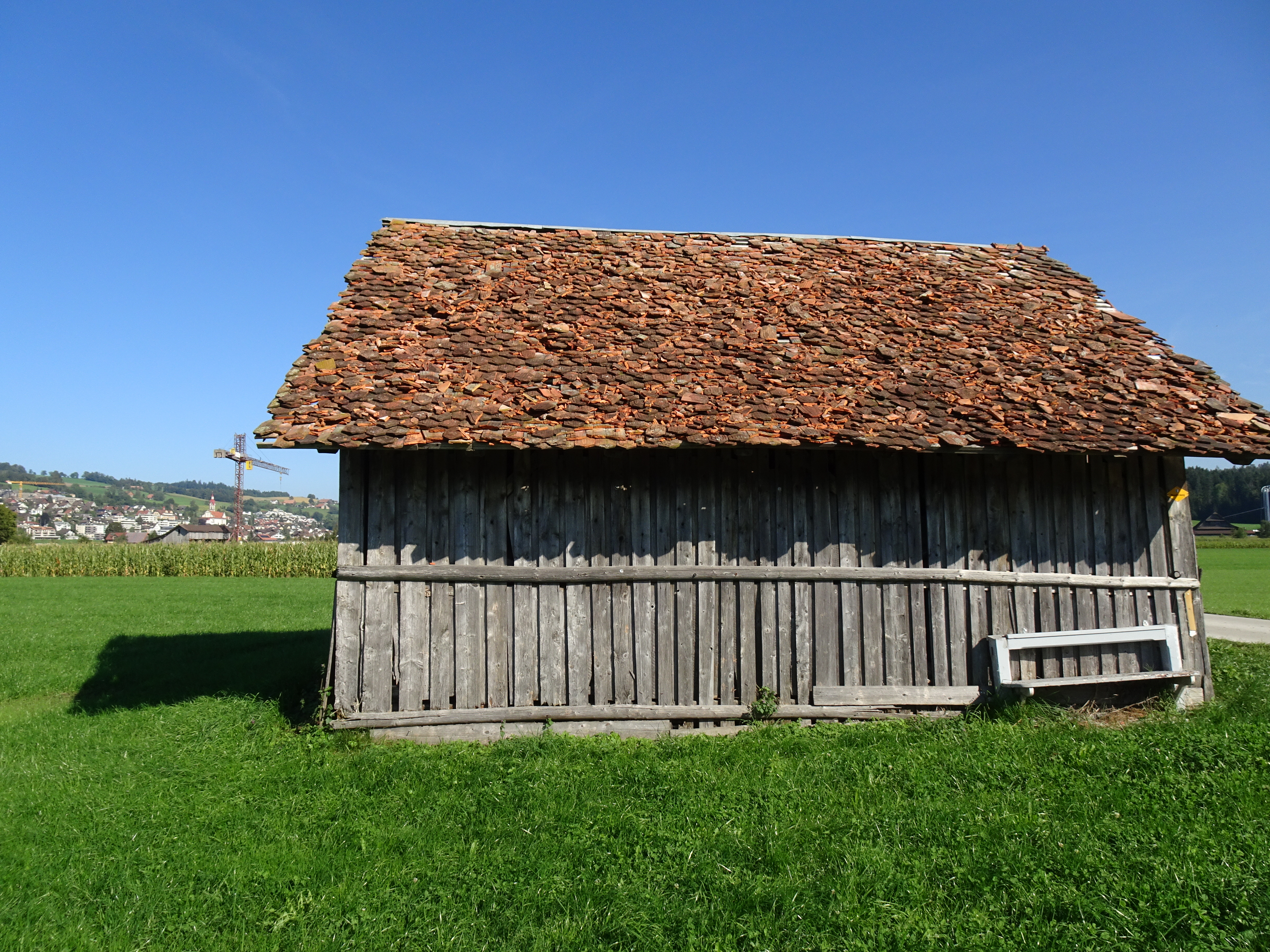  Schön gleichmässig zertrümmerte Dachziegel im Rüediswilermoos, Ruswil. | Urs Amrein, Ruswil