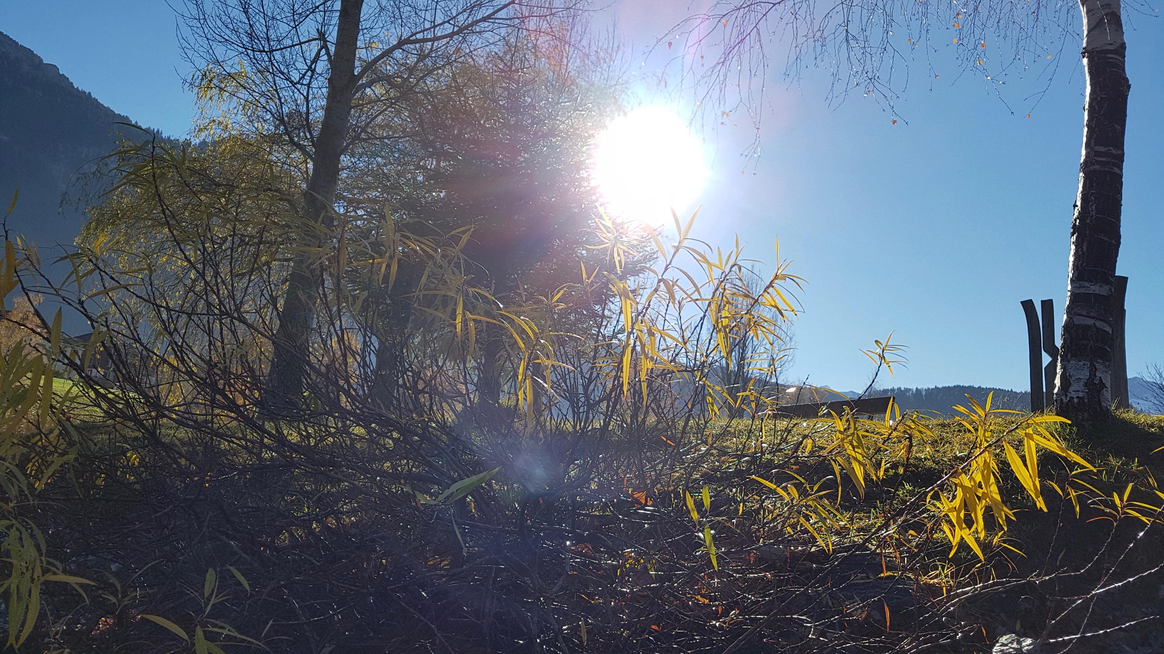 Herbstlicher Sonnenaufgang am Lungernsee | Emilie Koller, Grosswangen