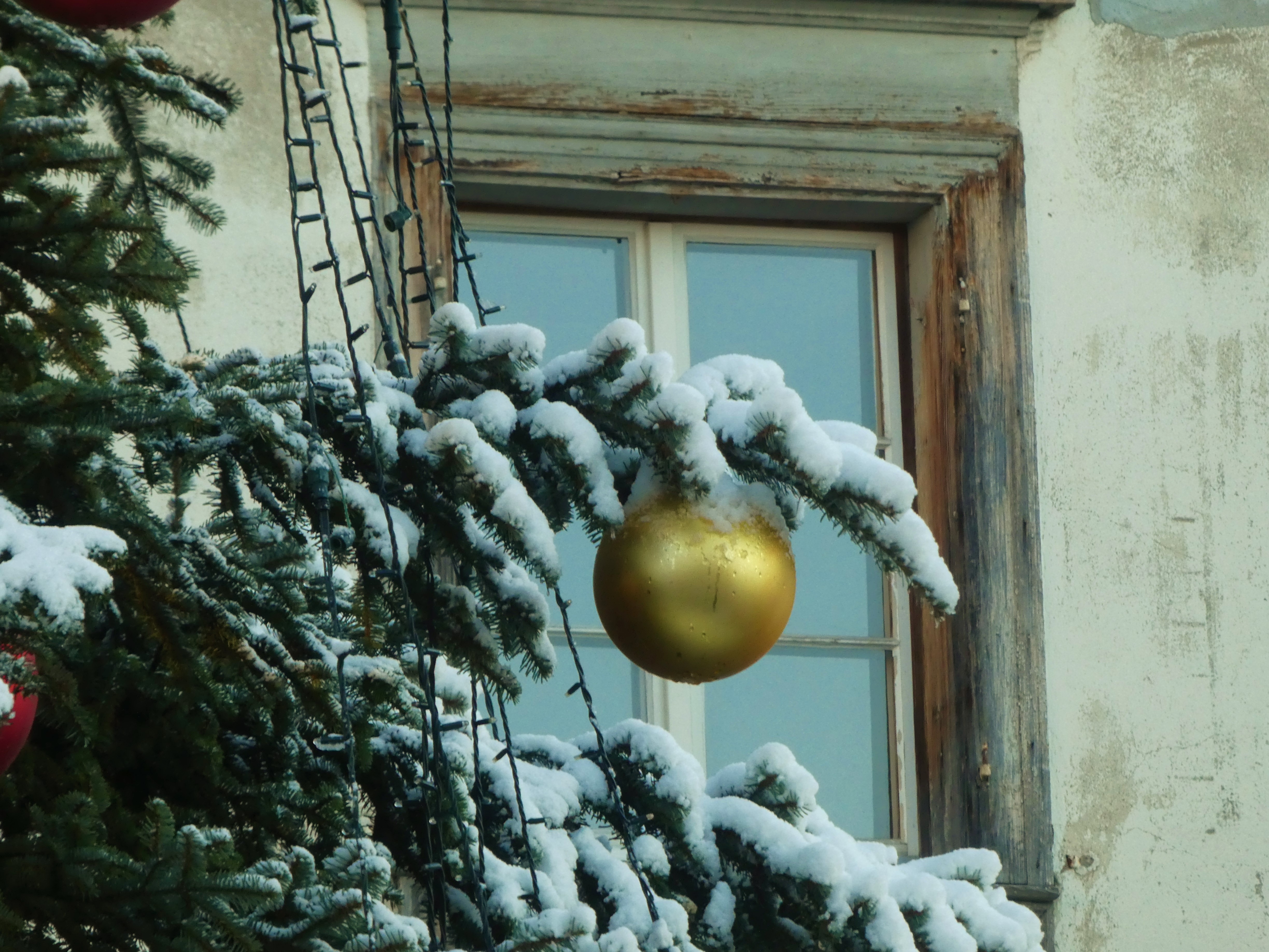 Weihnachtsbaum auf dem Dorfplatz Ruswil | Josy Steinmann, Ruswil