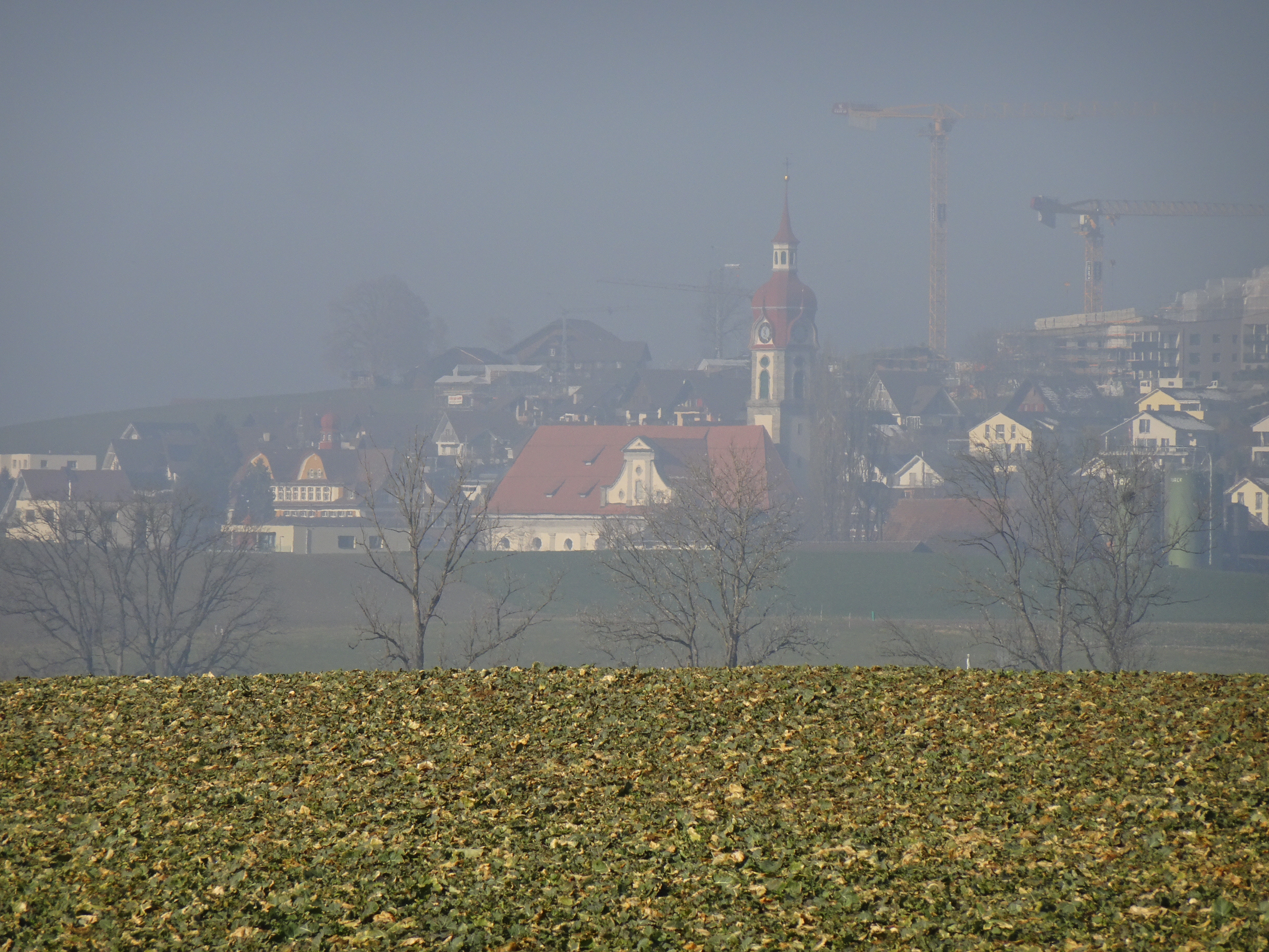 Über dem Ruswiler Dorfkern lichtet sich der Nebel; von der Abzweigung zum Hof Honig her gesehen | Urs Amrein, Ruswil