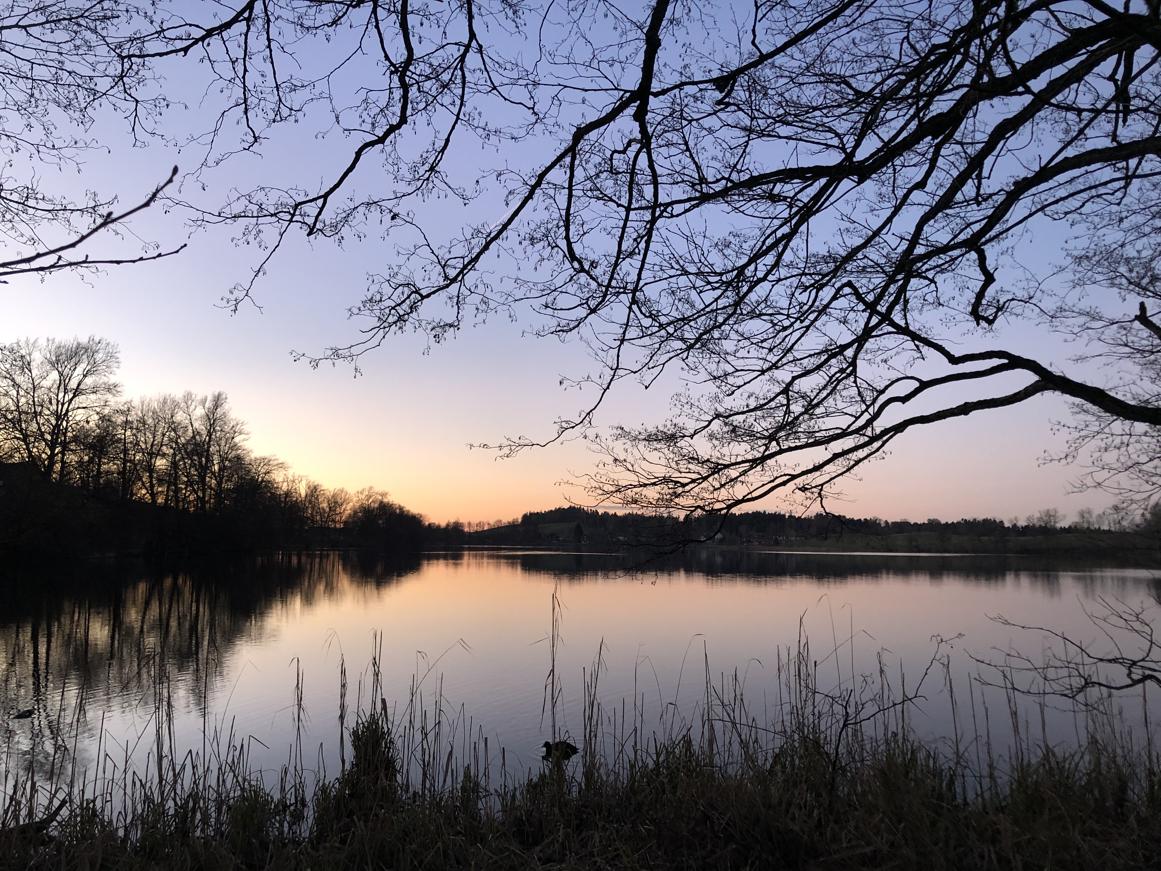 Abendstimmung am Soppensee | Iris Fehlmann, Geiss