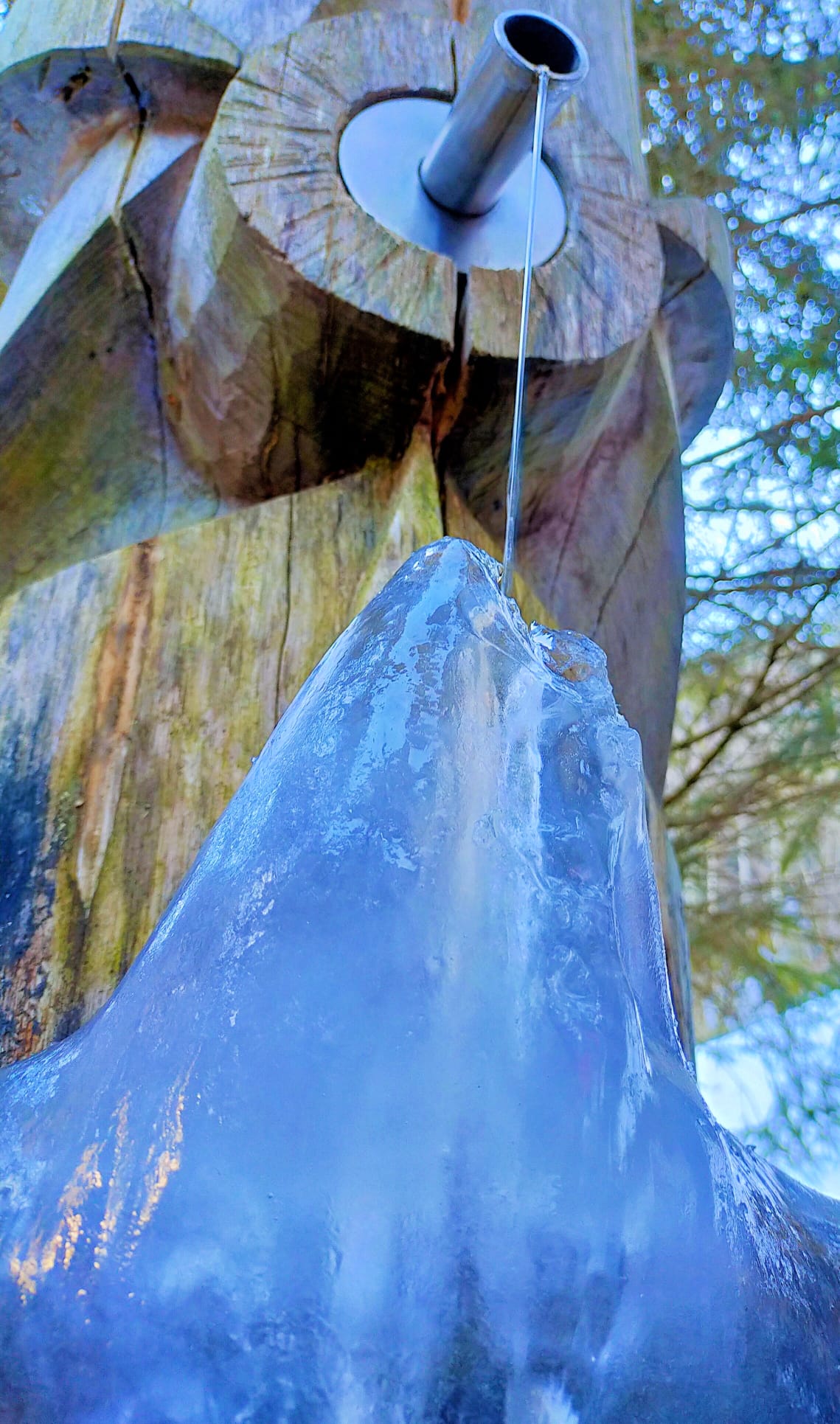 Eiskunst in der Natur | Flavio Schnyder, Buttisholz