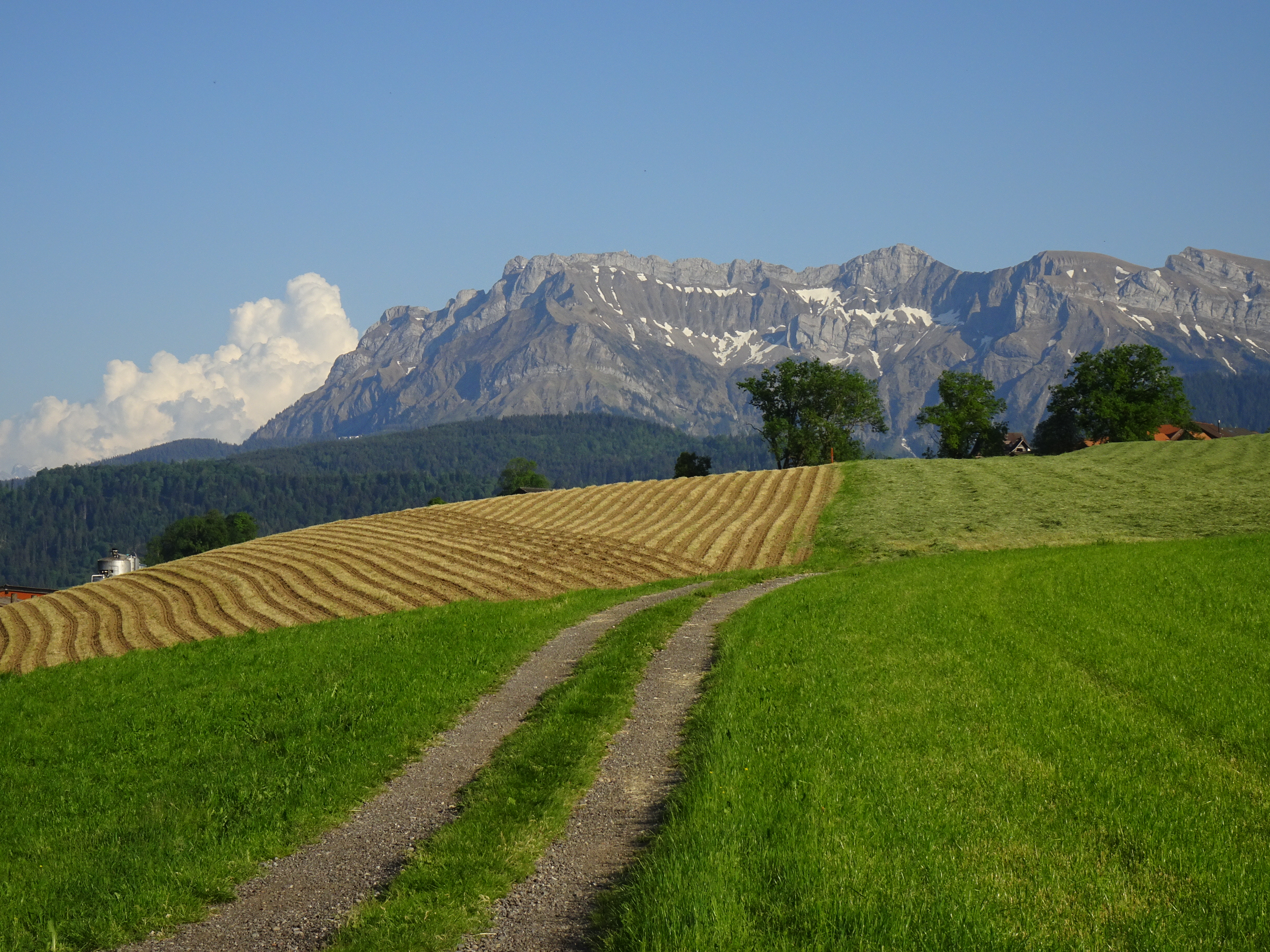 Pilatus in der Abendsonne mit frisch hergerichtetem Acker im Vordergrund.  | Urs Amrein, Ruswil 