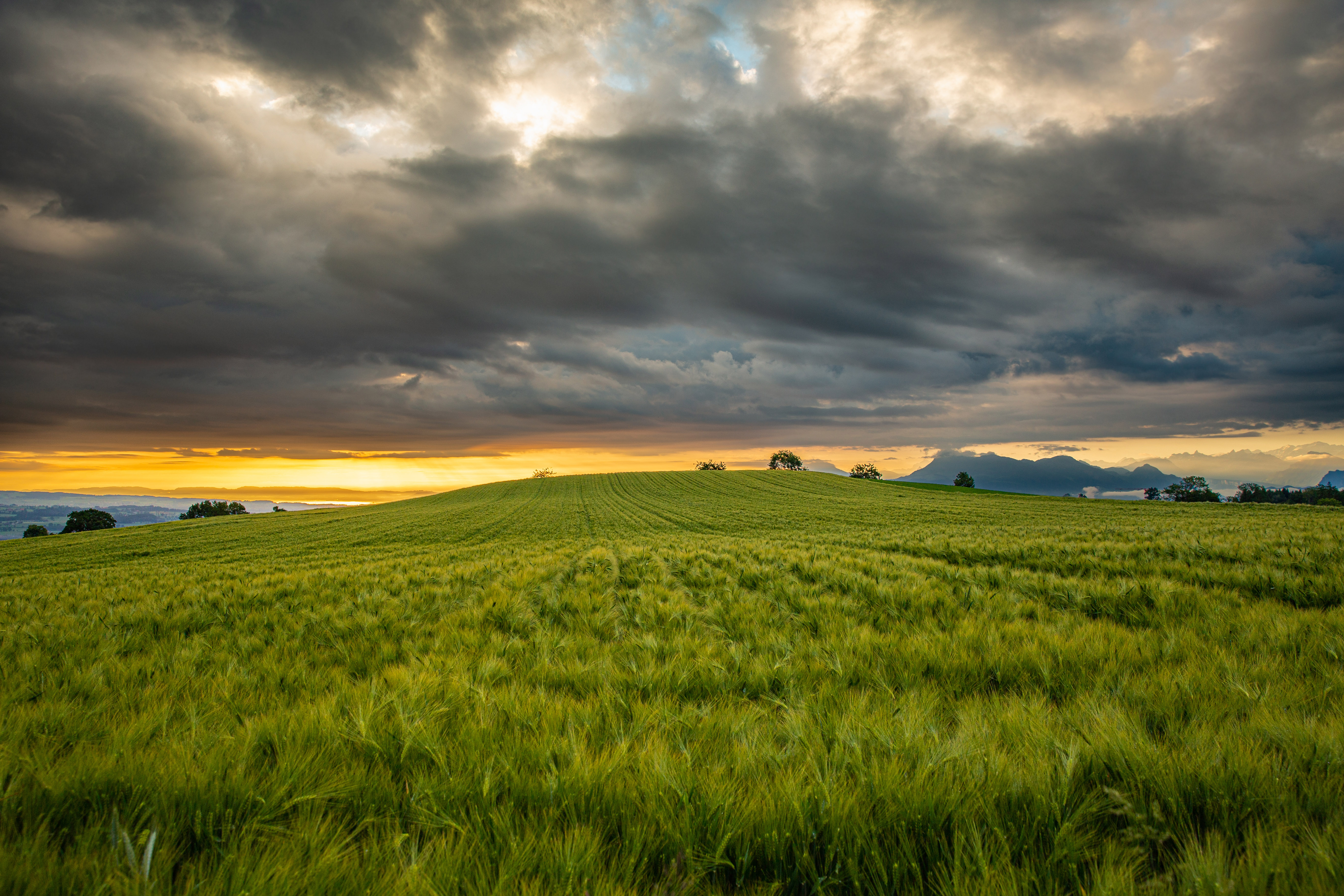 Morgenstimmung auf dem Ruswilerberg | René Burch, Ruswil