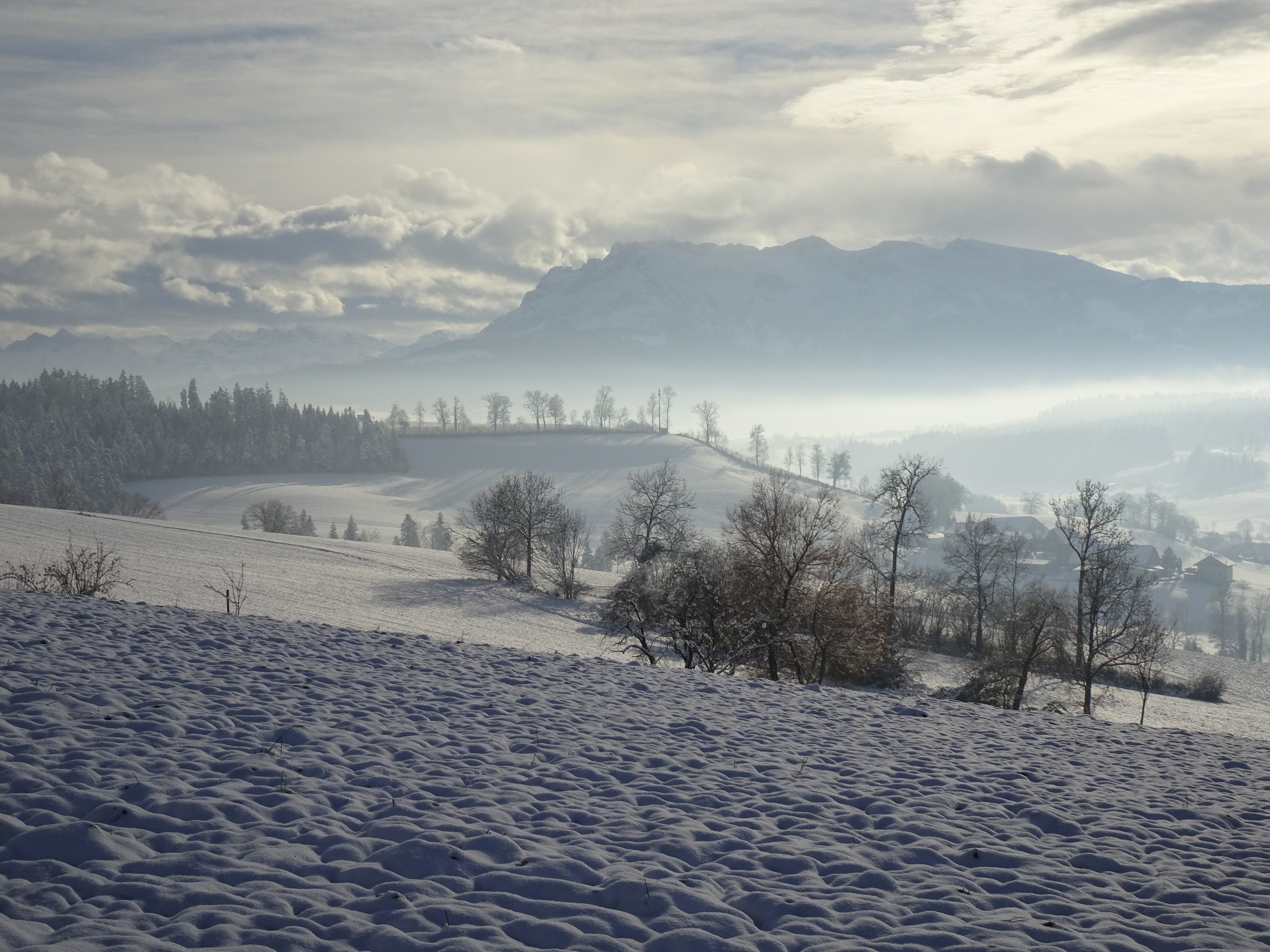 Winterwunderland. Foto Urs Amrein
