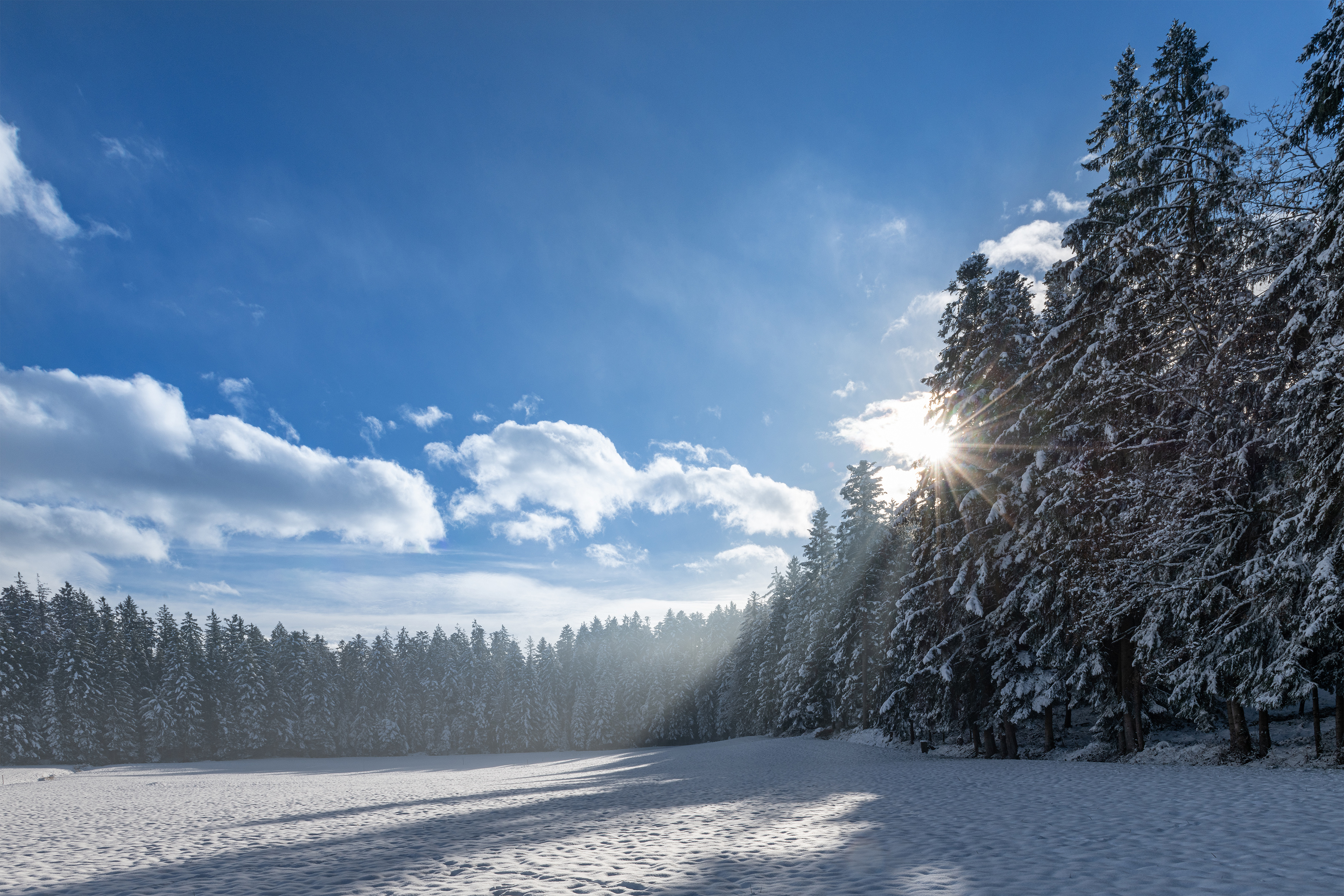 Winter Sonnenstrahlen. Stefan Dubach