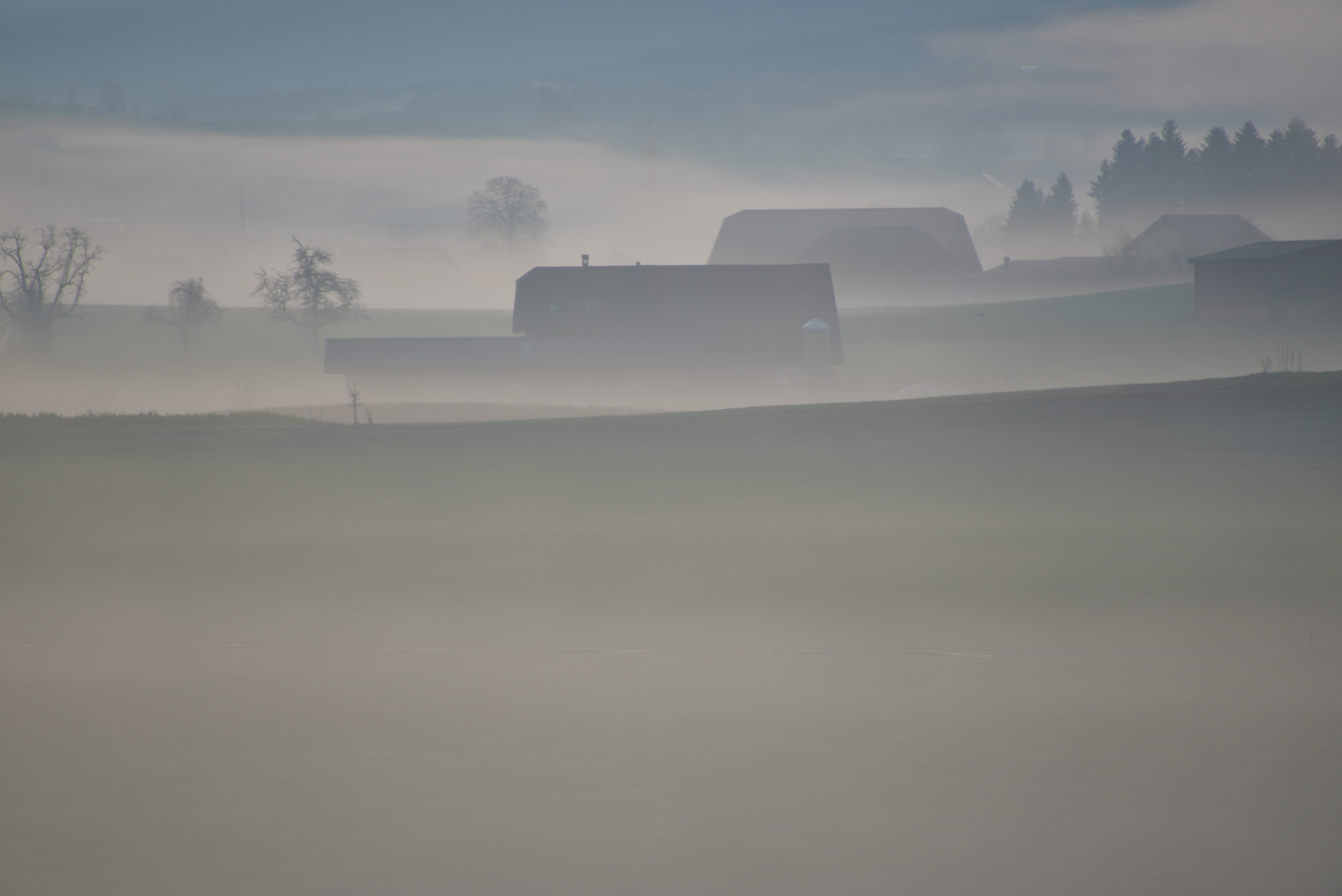 Eine mystische Nebelstimmung.  | Foto Martin Giese, Grosswangen 