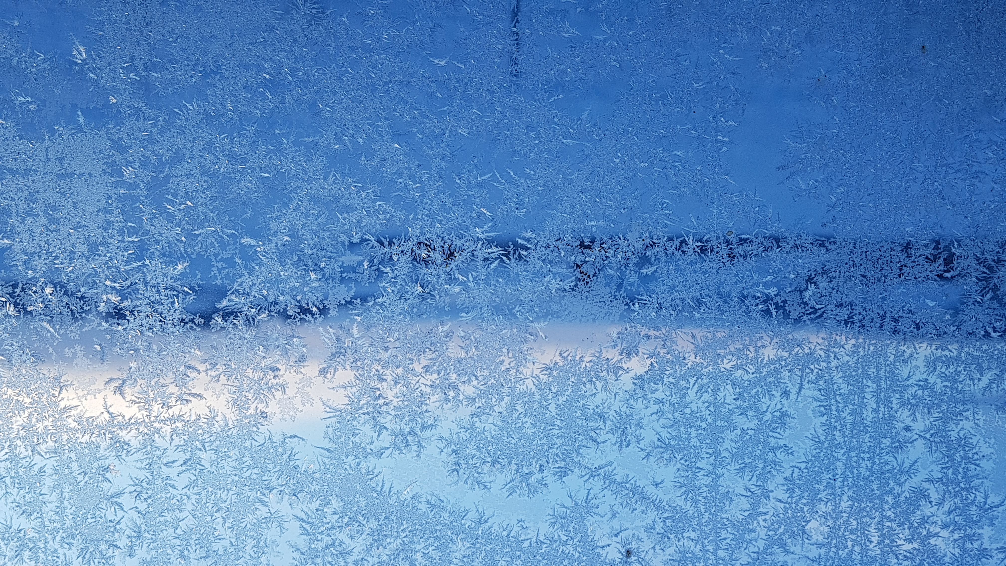 Ein Eisblumen-Kunstwerk am Wintergarten-Fenster. | Emilie Koller, Grosswangen