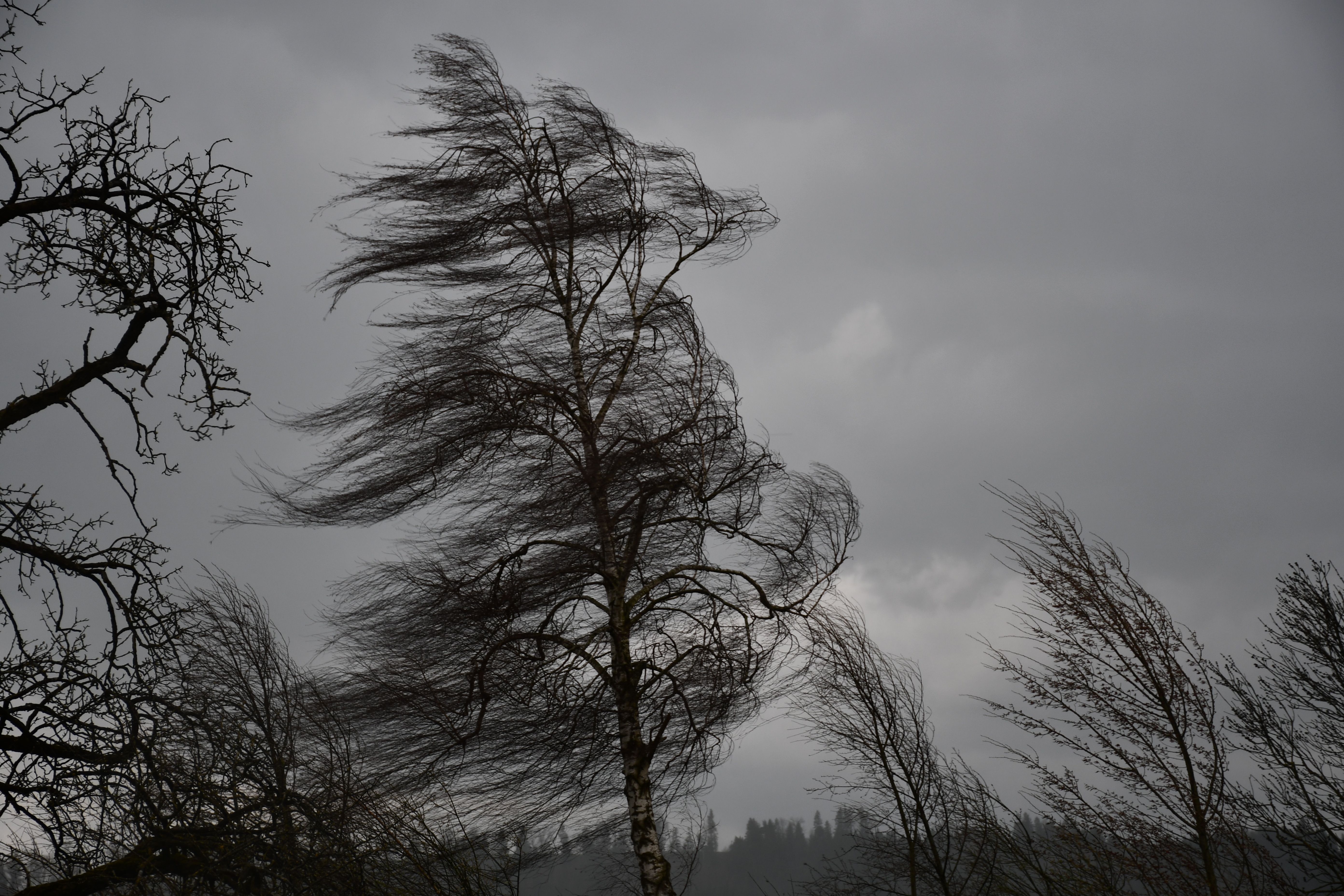 Der Monat März wurde in Grosswangen stürmisch verabschiedet  | Toni Koller, Grosswangen 