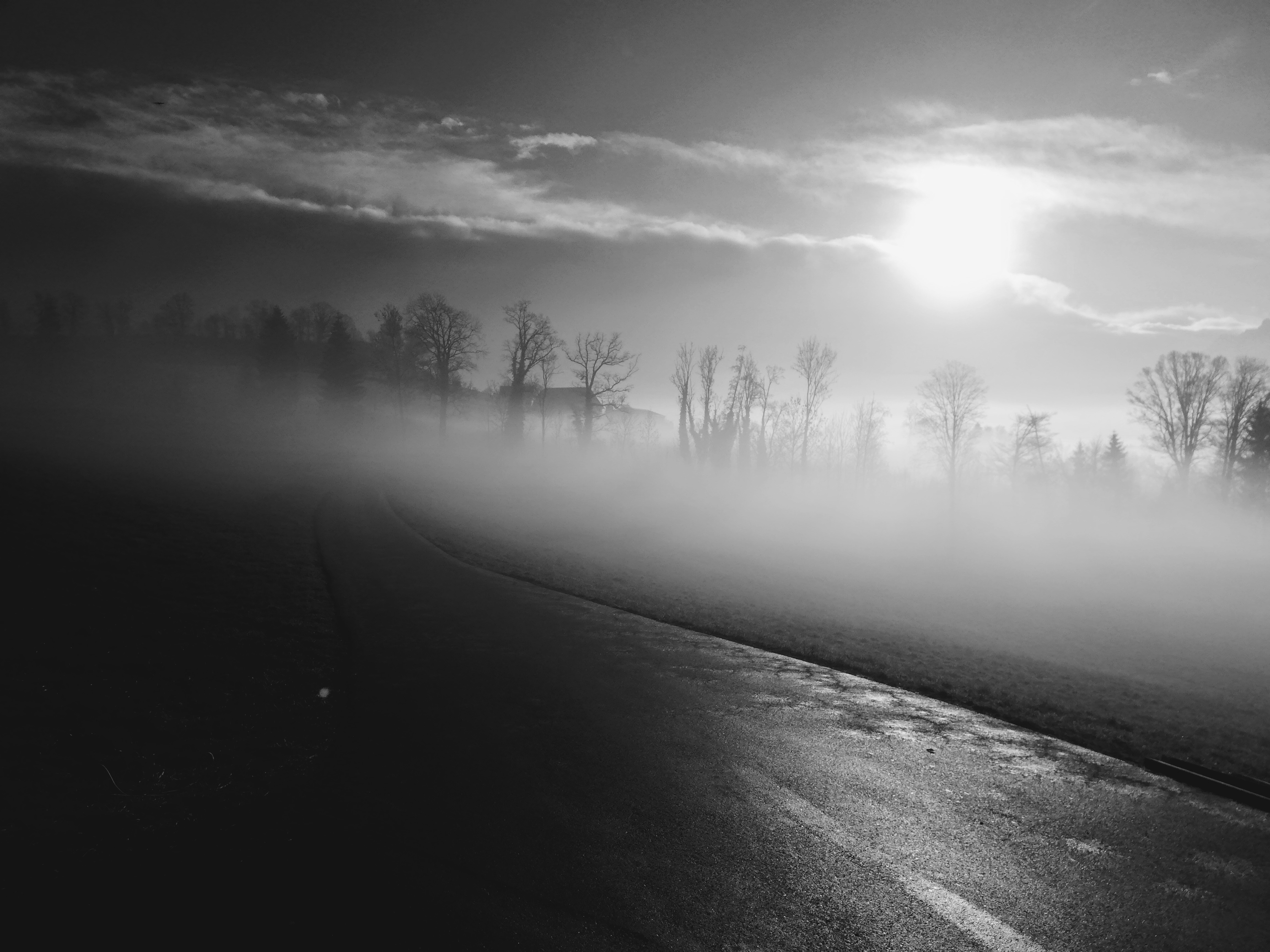 Mystische Morgenstimmung, aufgenommen auf der Strasse Richtung Herreweg, Ruswil. | Urs Widmer, Ruswil