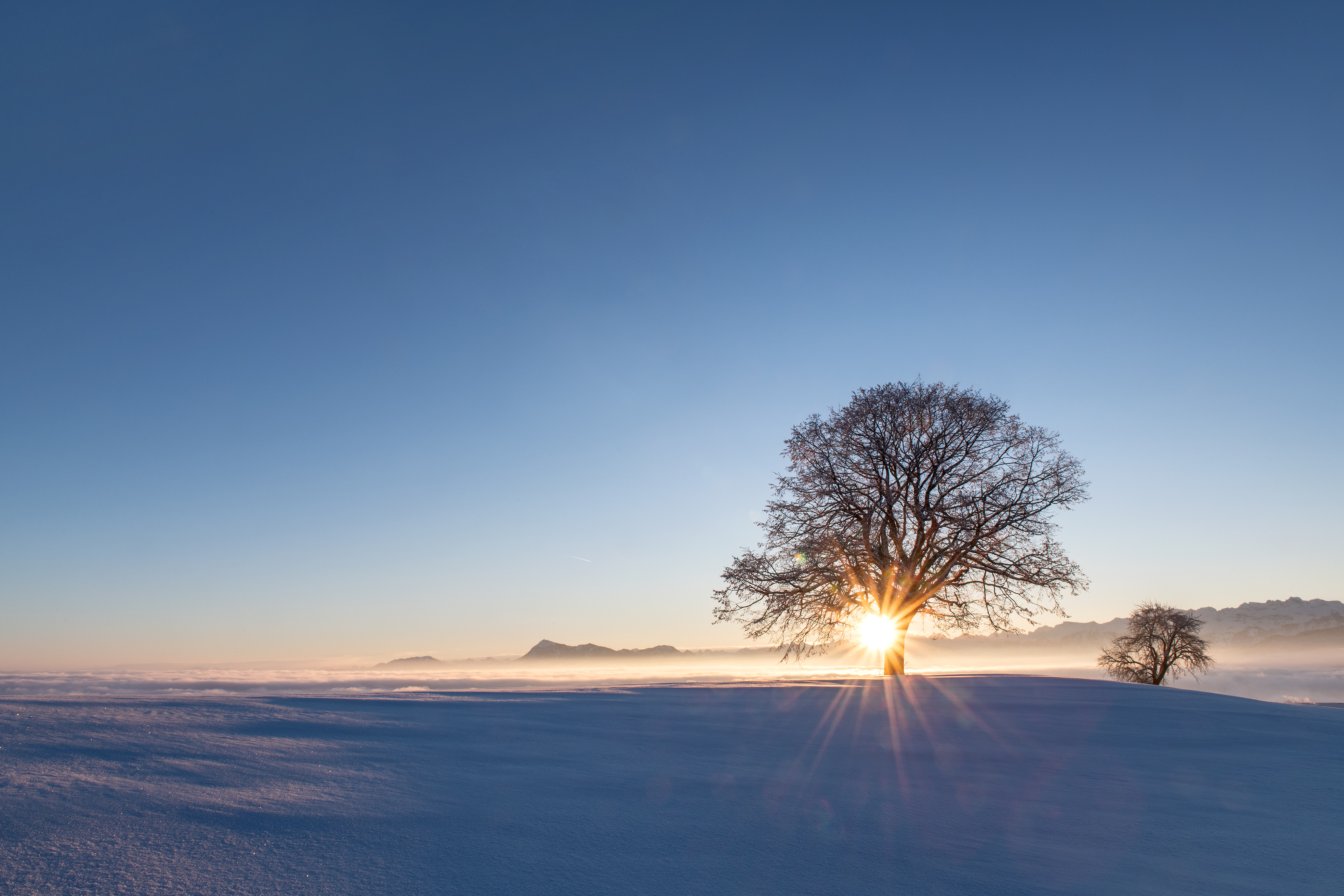 Kalter Morgen auf dem Homberg, Ruswil.  | Stefan Dubach, Ruswil