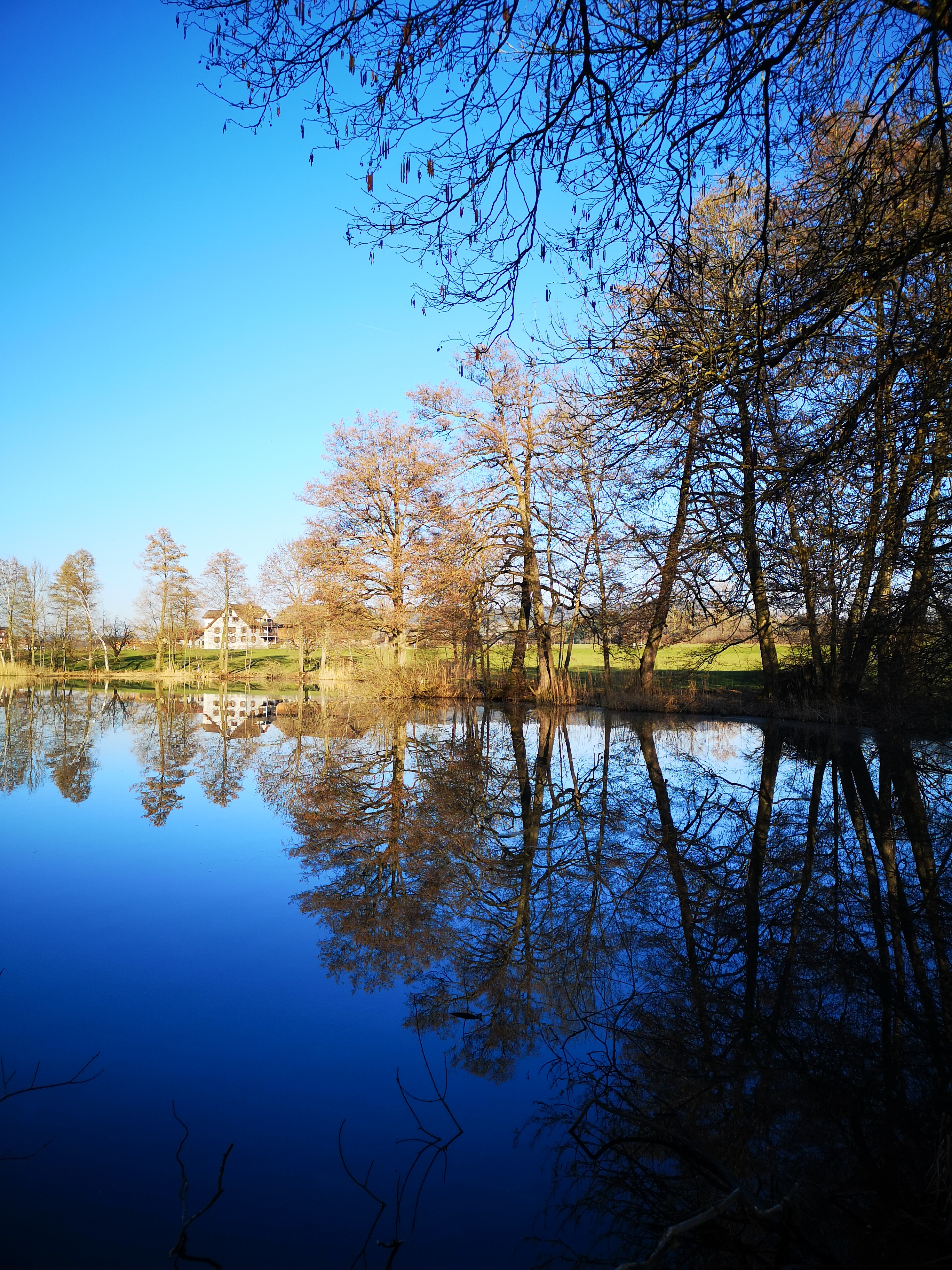 Der Frühling, hier am Soppensee, ist definitiv im Anmarsch.  | Martin Kohler, Ruswil