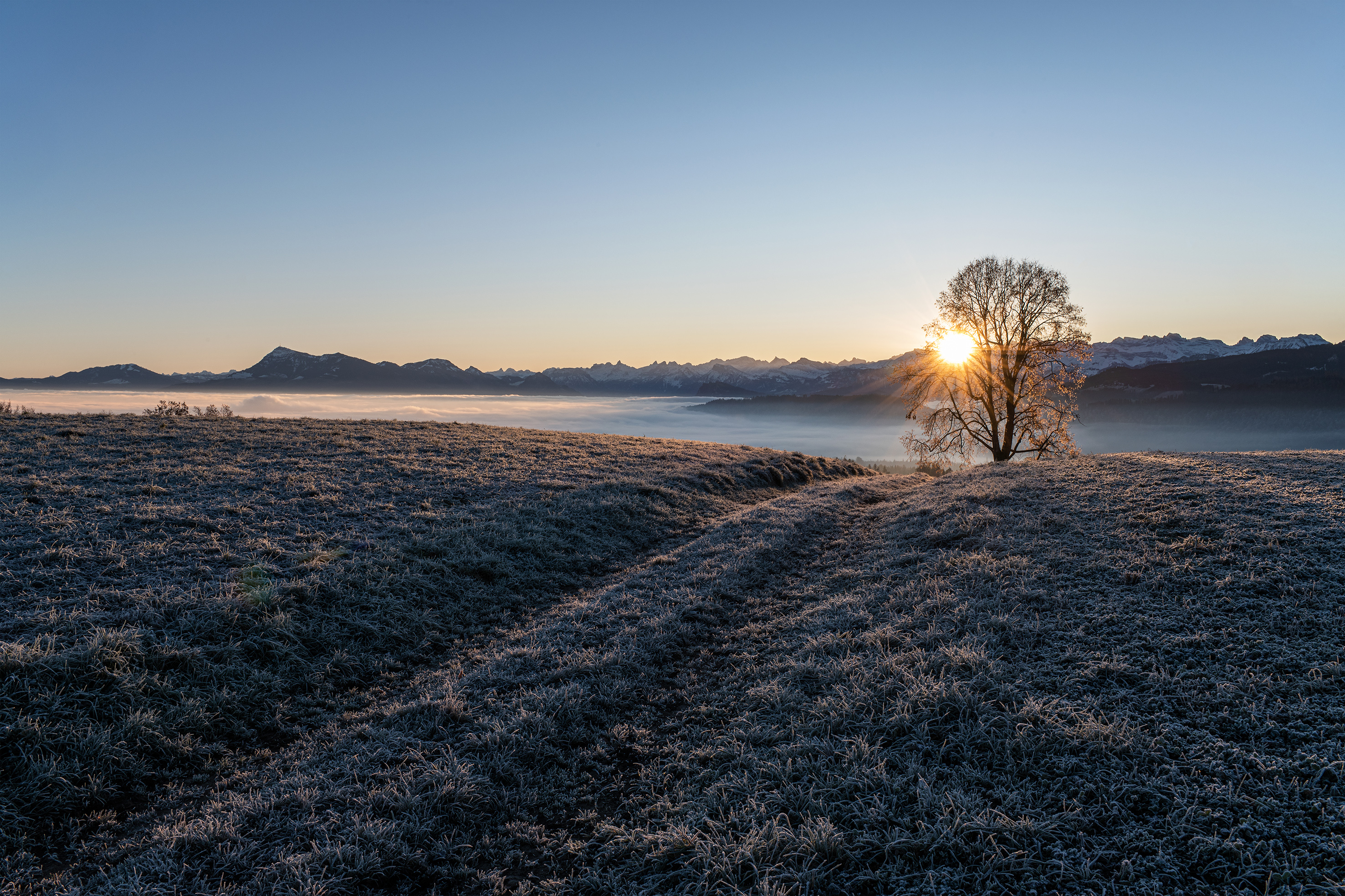 Ein kalter aber schöner Morgen über dem Nebelmeer von der Hunkelenweid Richtung Rigi gesehen. | Stefan Dubach, Ruswil