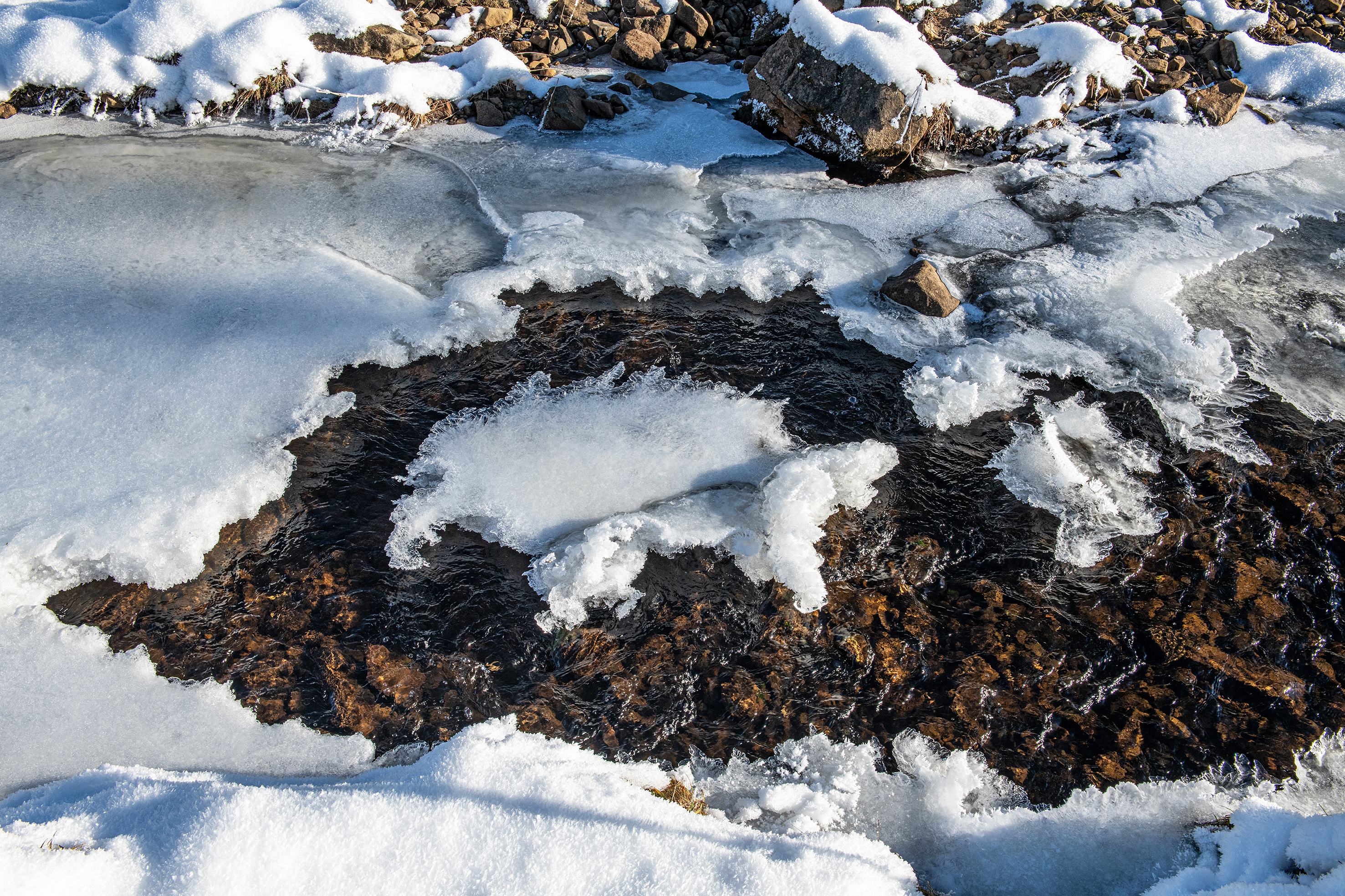 Das Eisprofil dieser Eiserscheinung im Grosse-Schliere Bach im Schweni-Kaltbad erinnert mich sehr an die Umrisse der Schweiz. | Stefan Dubach, Ruwil